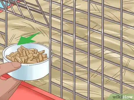 Imagem intitulada Treat Diarrhea in Rabbits Step 7