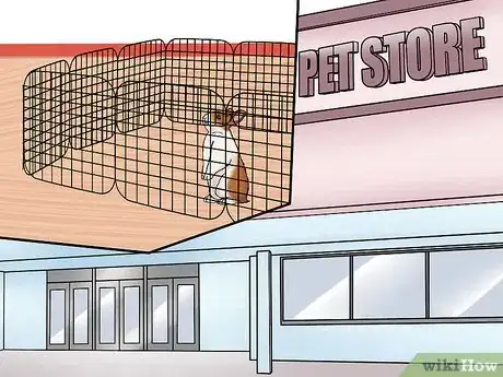 Imagem intitulada Care for a House Rabbit Step 6