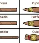 Fumar um Charuto