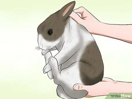 Imagem intitulada Care for a House Rabbit Step 8