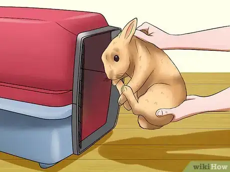 Imagem intitulada Introduce a Dog and a Rabbit Step 6