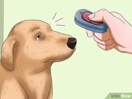 Imagem intitulada Introduce a Dog and a Rabbit Step 4