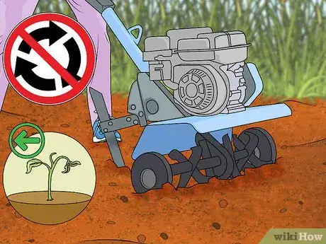 Imagem intitulada Fix Compacted Soil Step 10