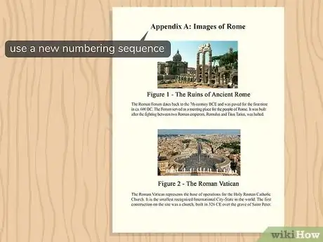 Imagem intitulada Use an Appendix Step 9
