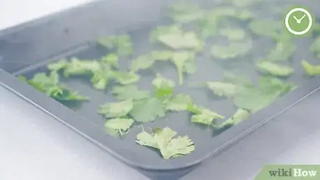 Imagem intitulada Store Cilantro Step 13