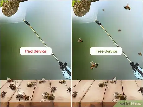 Imagem intitulada Get Rid of Bees Step 10