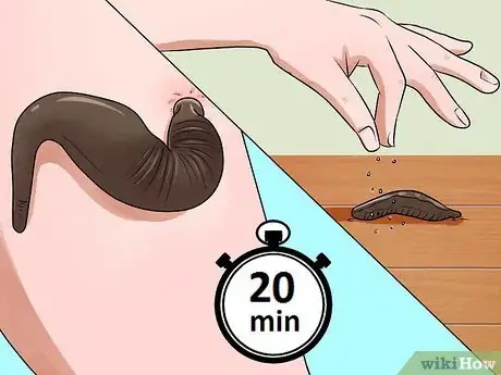 Imagem intitulada Kill Leeches Step 2