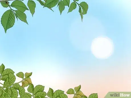 Imagem intitulada Catch Ladybugs Step 1