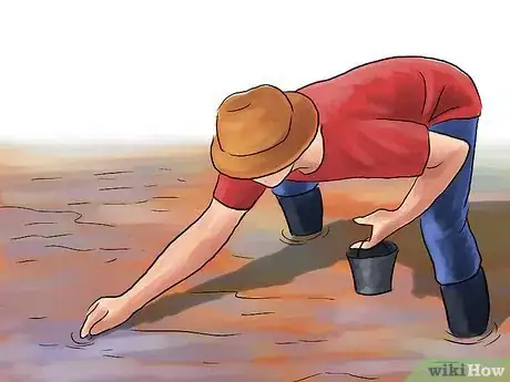 Imagem intitulada Grow Rice Step 4
