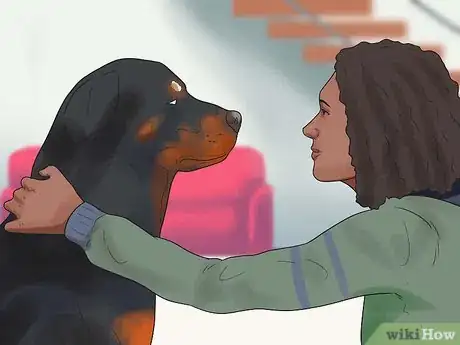 Imagem intitulada Train a Rottweiler Step 11
