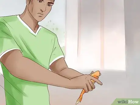 Imagem intitulada Humanely Kill a Fish Step 12