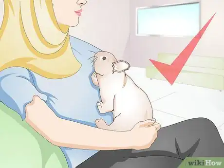Imagem intitulada Calm a Vicious Rabbit Step 6