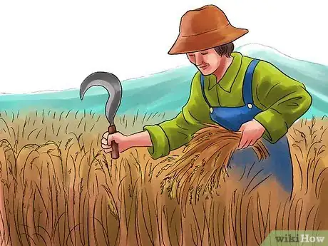 Imagem intitulada Grow Rice Step 8