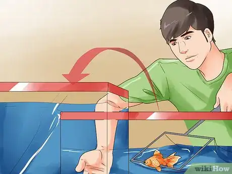 Imagem intitulada Humanely Kill a Fish Step 10
