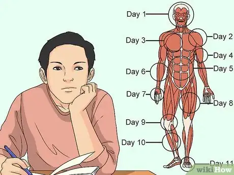 Imagem intitulada Study Muscle Anatomy Step 4