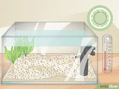 Imagem intitulada Clean a Betta Fish Tank Step 10