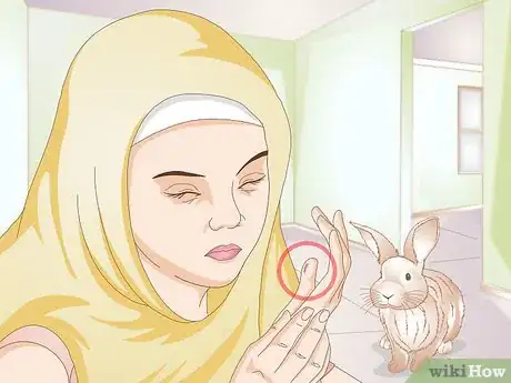 Imagem intitulada Calm a Vicious Rabbit Step 1