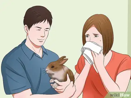 Imagem intitulada Buy a Rabbit Step 14