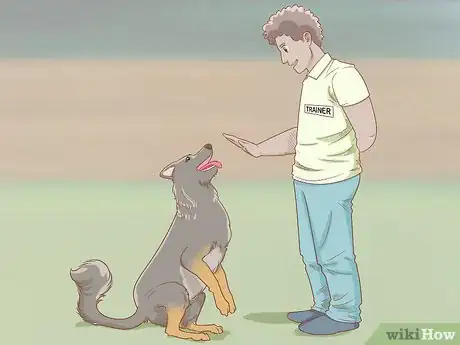 Imagem intitulada Stop a Dog from Digging Step 6