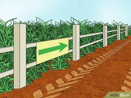 Imagem intitulada Fix Compacted Soil Step 2