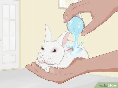 Imagem intitulada Care for an Injured Rabbit Step 9