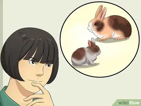 Imagem intitulada Buy a Rabbit Step 12