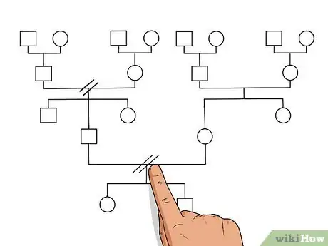 Imagem intitulada Make a Genogram Step 14