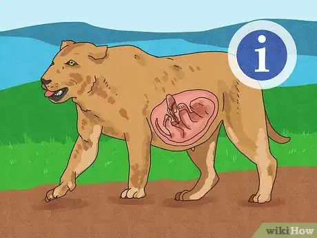 Imagem intitulada Answer Where Do Babies Come From Step 12