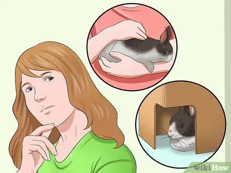 Imagem intitulada Buy a Rabbit Step 10