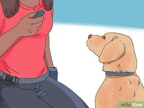 Imagem intitulada Train a Dog Step 10
