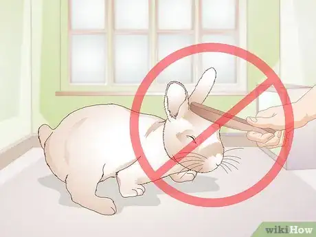 Imagem intitulada Calm a Vicious Rabbit Step 4