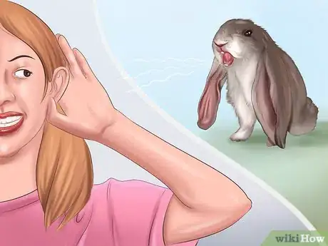 Imagem intitulada Make Your Rabbit Like You Step 1