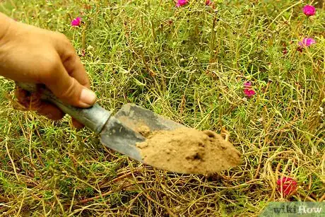 Imagem intitulada Make Fake Rocks with Concrete Step 17