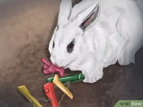 Imagem intitulada Make Your Rabbit Like You Step 7