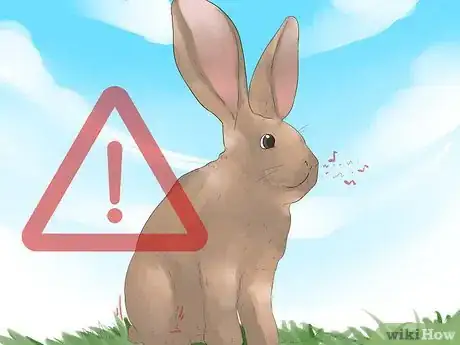 Imagem intitulada Understand Your Rabbit Step 3