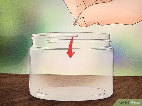 Imagem intitulada Identify a Termite Step 1