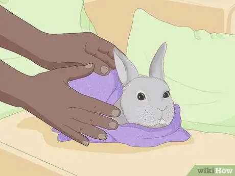 Imagem intitulada Care for an Injured Rabbit Step 5
