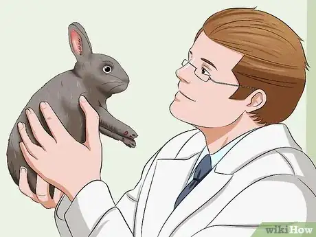 Imagem intitulada Calm a Rabbit Step 8
