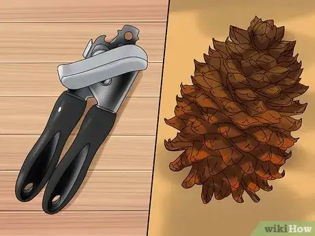 Imagem intitulada Shell Pine Nuts Step 5