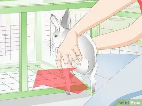 Imagem intitulada Clean a Rabbit Cage Step 16