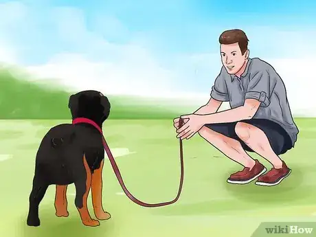 Imagem intitulada Train a Rottweiler Step 17