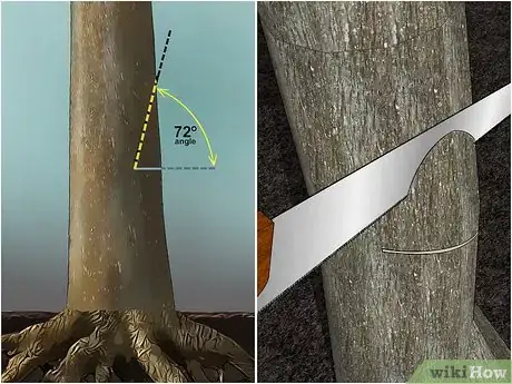 Imagem intitulada Fell a Tree Step 15