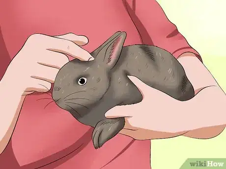 Imagem intitulada Calm a Rabbit Step 5