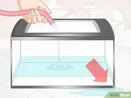 Imagem intitulada Make a Shrimp Aquarium Step 7