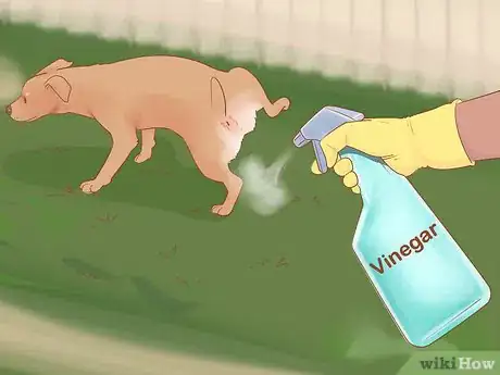 Imagem intitulada Keep Dogs off Lawn Step 2