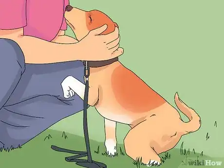Imagem intitulada Train a Dog Step 49