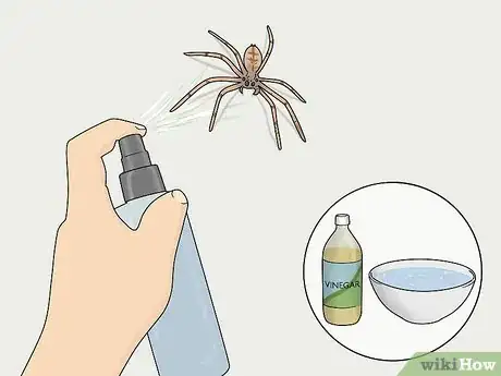 Imagem intitulada Kill Spiders from a Distance Step 2