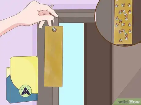 Imagem intitulada Get Rid of Flies Step 4