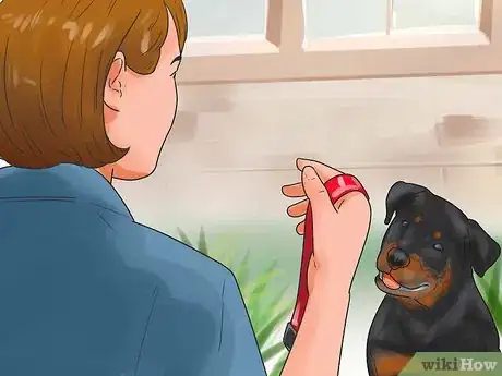 Imagem intitulada Train a Rottweiler Step 5
