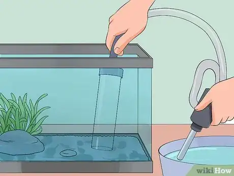 Imagem intitulada Save a Dying Betta Fish Step 28